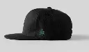 cap2.webp