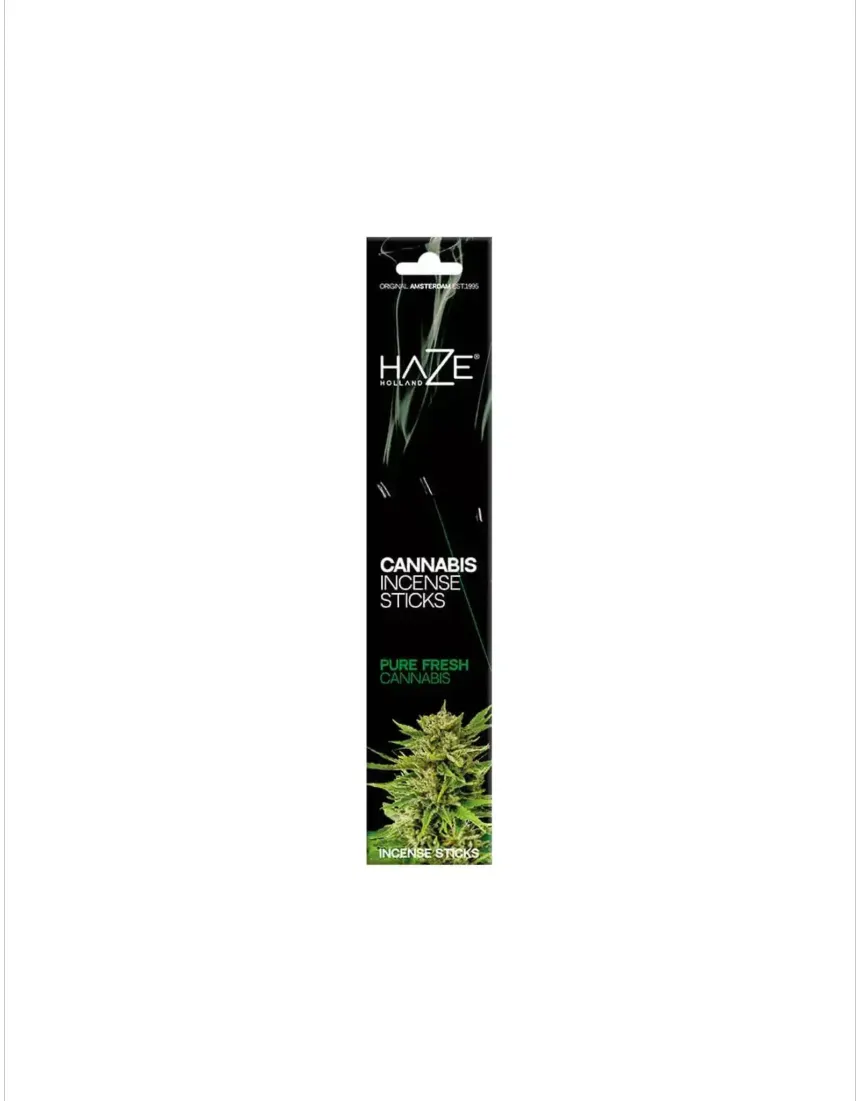 HAZE HOLLAND - Cannabis Incense Sticks - Pure Fresh